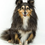 116 190512-Durweston-Holly
