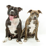 117 190518-Cooper & Lily
