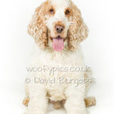 117 190817-Ralph & Ellie