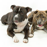 118 190518-Cooper & Lily