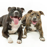 119 190518-Cooper & Lily