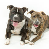 121 190518-Cooper & Lily-Edit