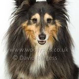 122 190512-Durweston-Holly