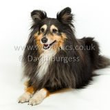 124 190512-Durweston-Holly