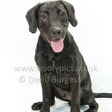 127 190707-Mickey