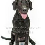 128 190707-Mickey
