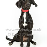 129 190512-Durweston-Oreo-Edit