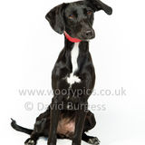 131 190512-Durweston-Oreo