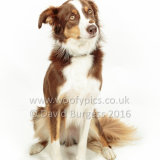 132 160813-Benji