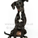 132 190512-Durweston-Oreo