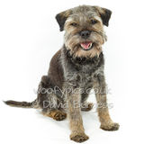 135 190804-Charlie