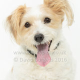 136 160717-Dillon-2