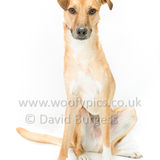 137 190707-Barney