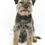 138 190804-Charlie