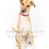 139 190707-Barney