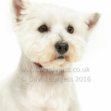 143 160813-Finlay-Edit