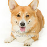 144 190721-Bernard
