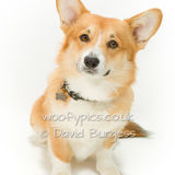 145 190721-Bernard