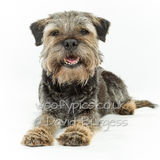 145 190804-Charlie