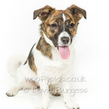 158 190817-Millie