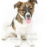 159 190817-Millie