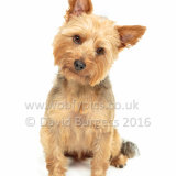 222 160821-Barney-Edit