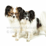 234 160821-Izzy & Milly