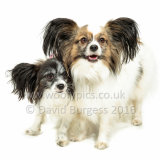239 160821-Izzy & Milly-Edit