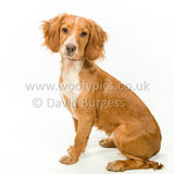 301 190623-Murphy & Winnie
