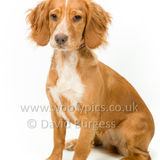 302 190623-Murphy & Winnie