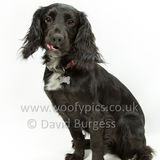 305 190623-Murphy & Winnie