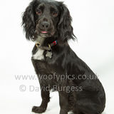 307 190623-Murphy & Winnie
