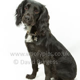 308 190623-Murphy & Winnie