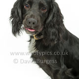 309 190623-Murphy & Winnie