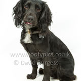 310 190623-Murphy & Winnie