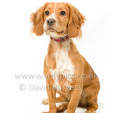 312 190623-Murphy & Winnie