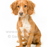313 190623-Murphy & Winnie