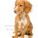 314 190623-Murphy & Winnie-Edit