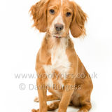 315 190623-Murphy & Winnie