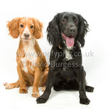 319 190623-Murphy & Winnie