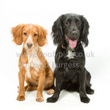 322 190623-Murphy & Winnie