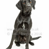 543 160821-Vinnie-Edit