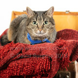Smudge 180820 011