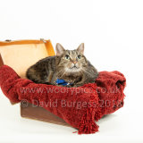 Smudge 180820 032