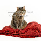 Smudge 180820 048