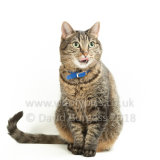 Smudge 180820 060