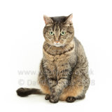 Smudge 180820 070