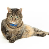 Smudge 180820 090