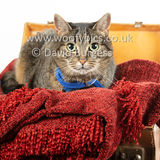 Smudge 180820 011