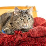 Smudge 180820 019